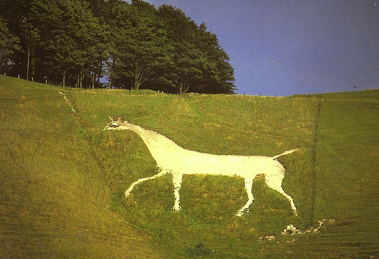 Wiltshire white horse
